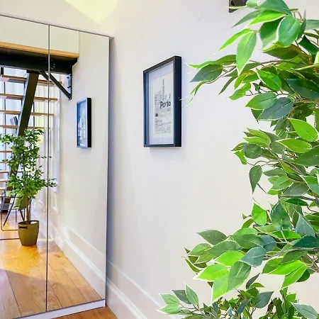 French-style Duplex Loft Few Steps To Douro River 公寓